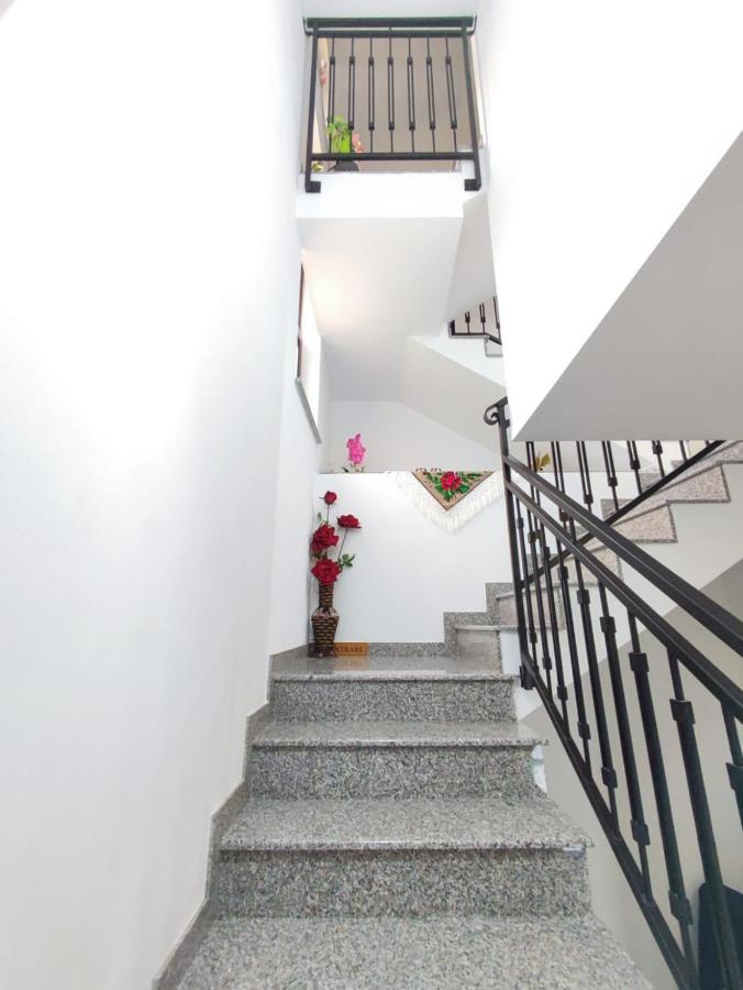 Vila Casa Hatere 모이세이 외부 사진